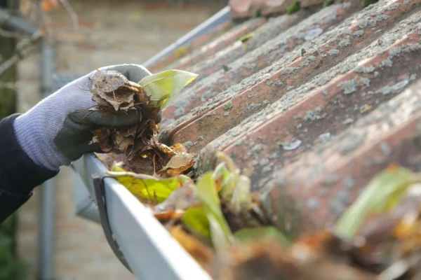 Flat roof and GRP fibreglass roofing